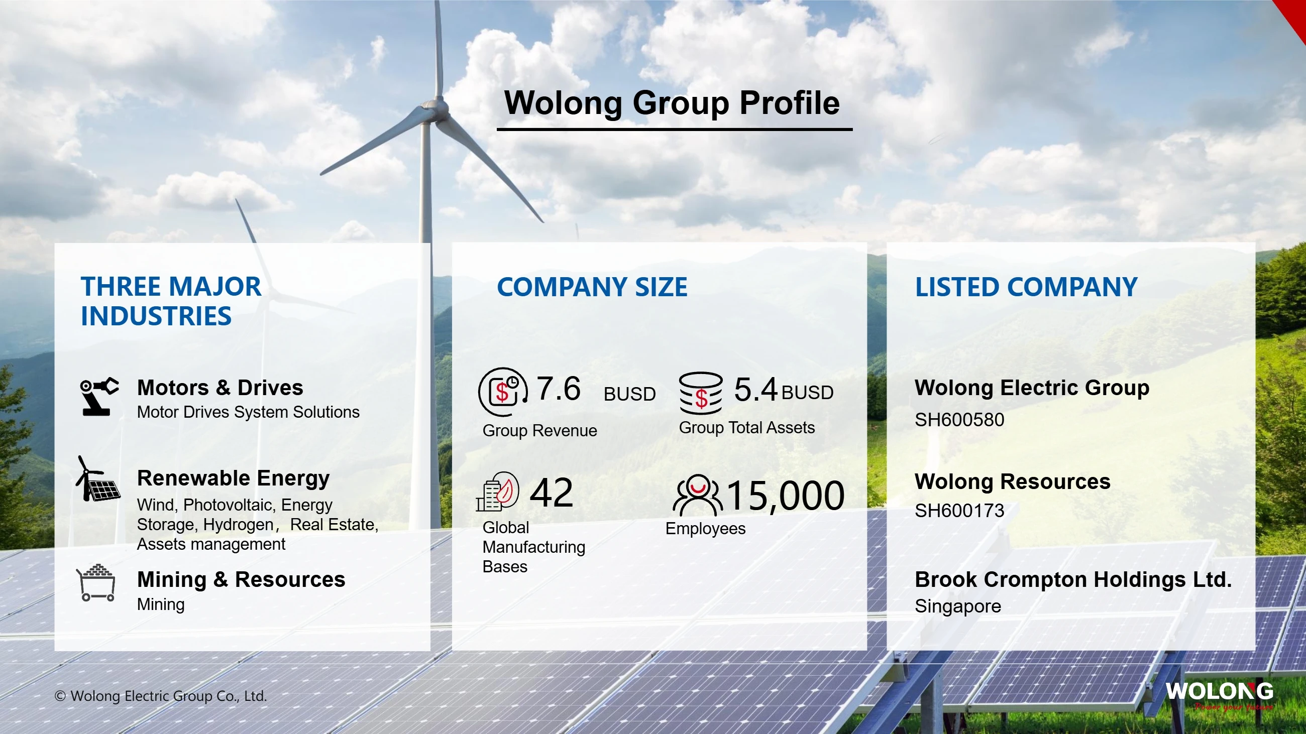 Shanghai Electric Group(pic3) Introduction to Wolong Group_3.webp